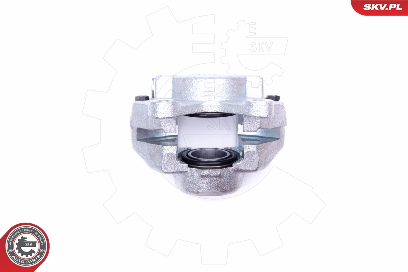 Brake Caliper 45SKV902