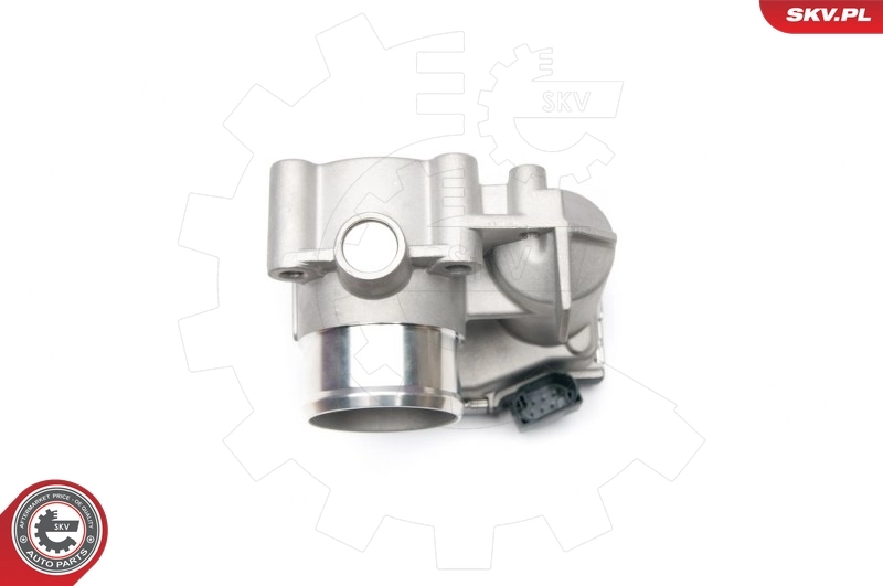 Throttle Body 12SKV043