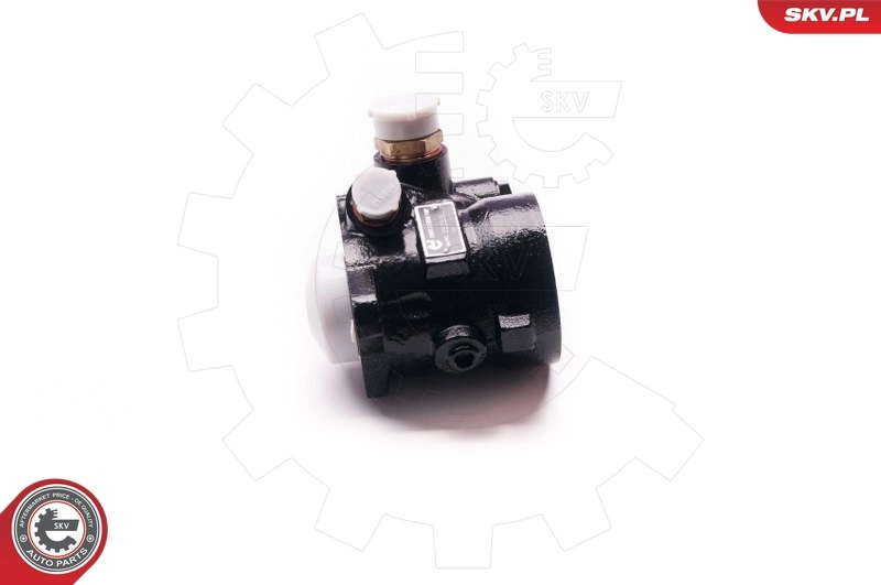 ESEN SKV 1SKV0003 Hydraulic Pump, steering