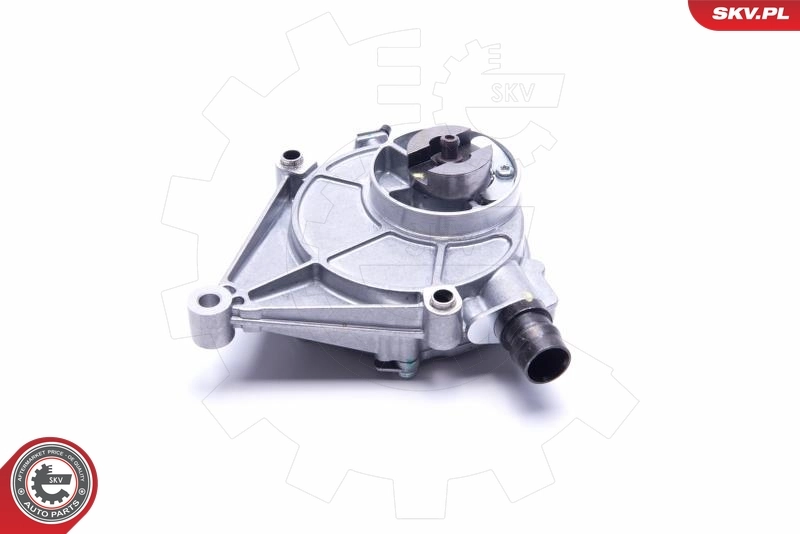 Vacuum Pump, braking system 18SKV049