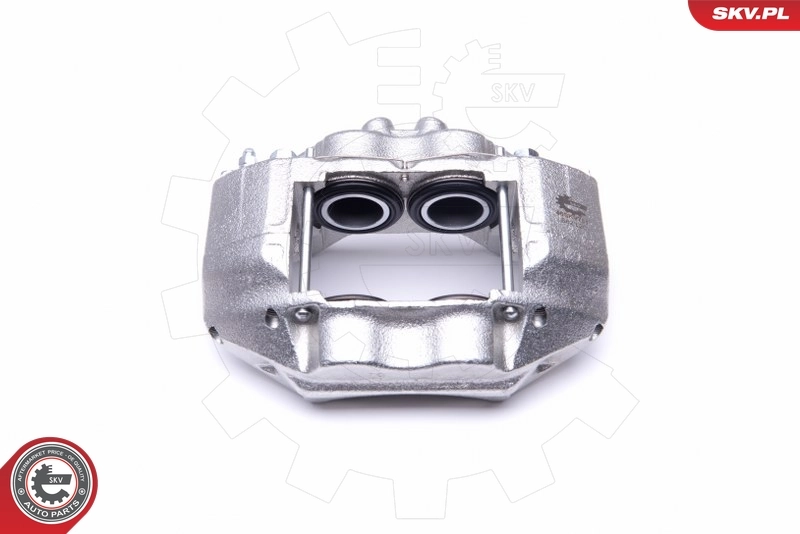 Brake Caliper 46SKV731
