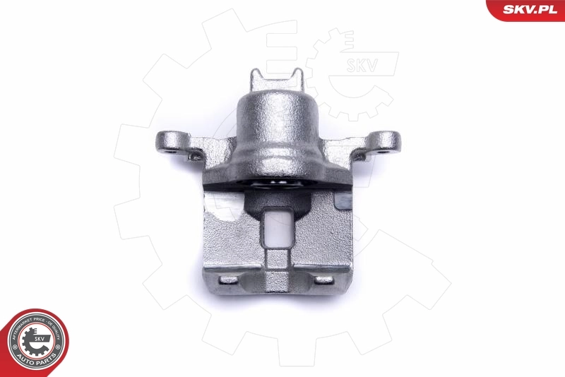 Brake Caliper 55SKV553