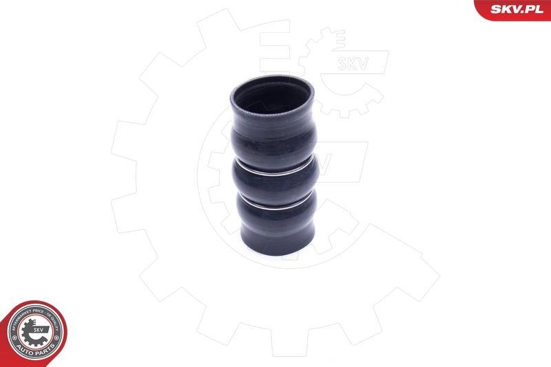 Charge Air Hose 54SKV139