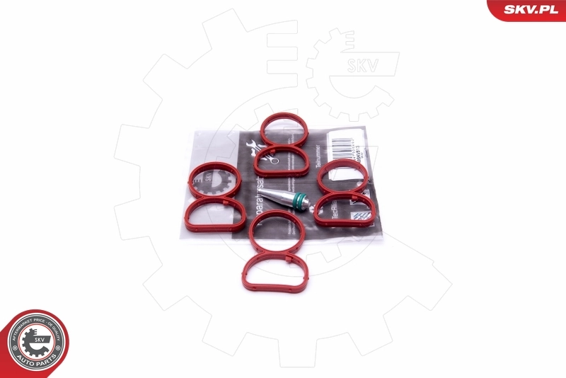Repair Kit, intake manifold module 49SKV513