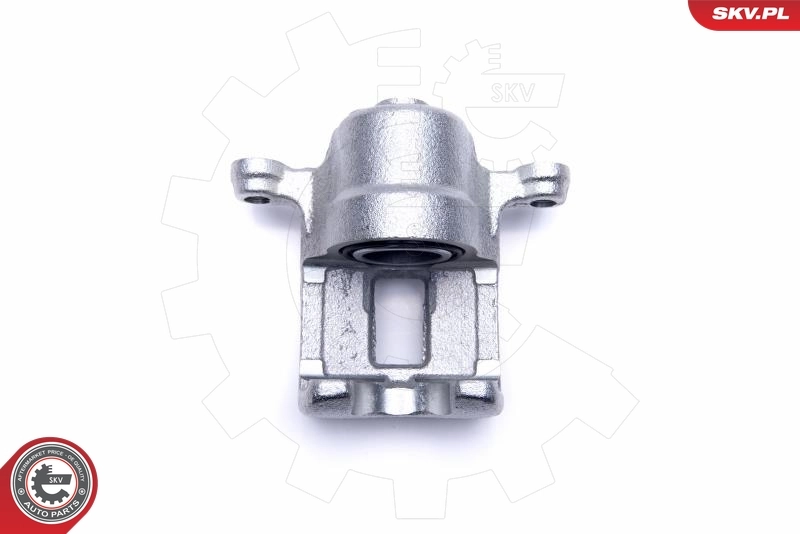 ESEN SKV 55SKV484 Brake Caliper