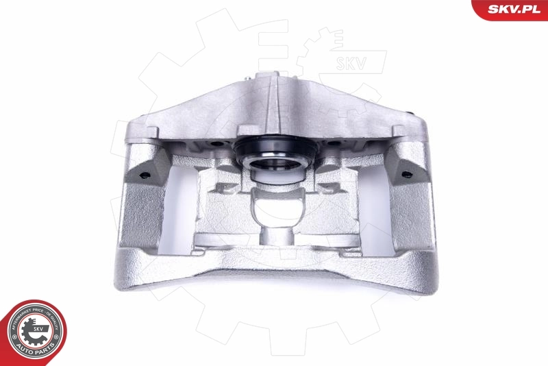 Brake Caliper 55SKV792