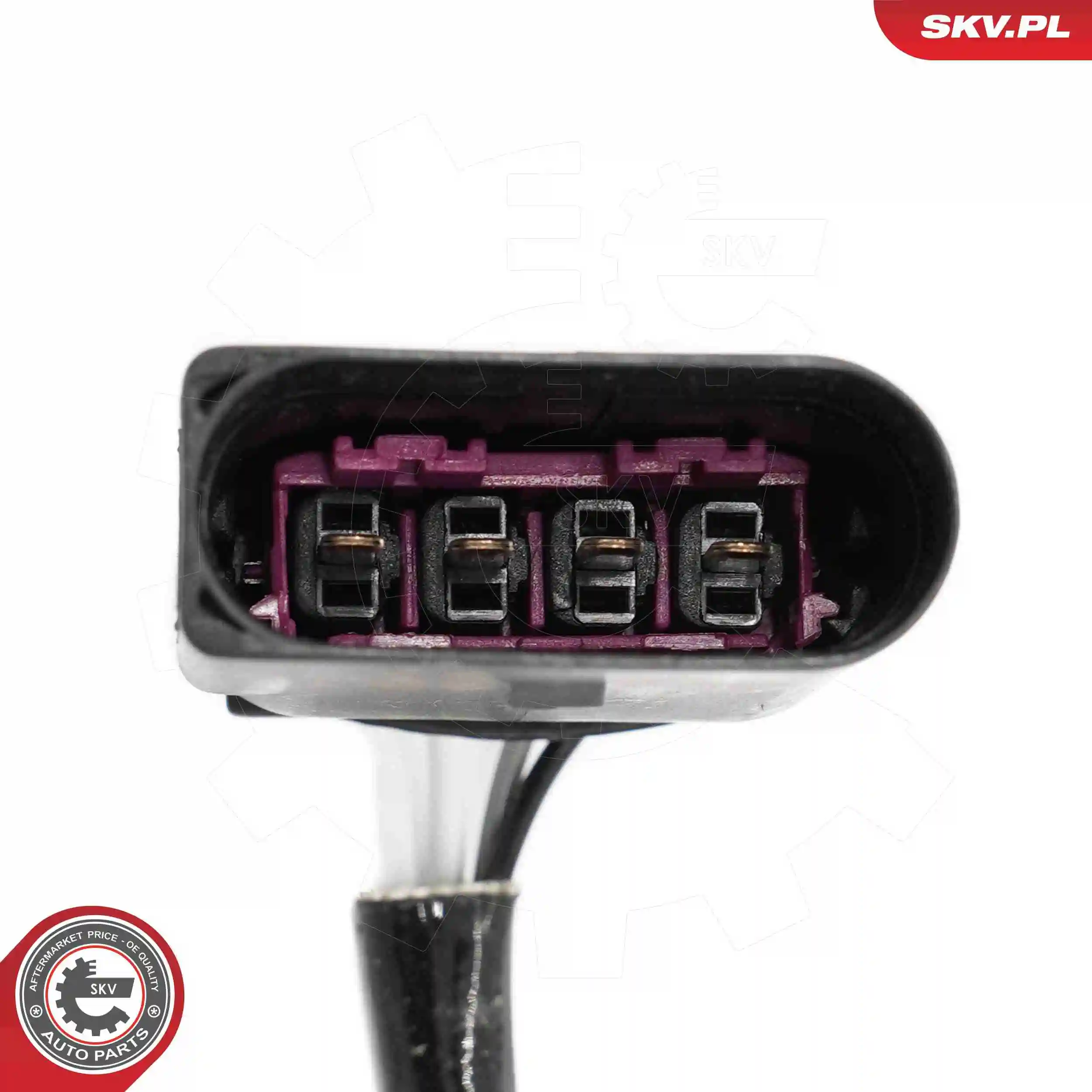 Oxygen Sensor 09SKV149