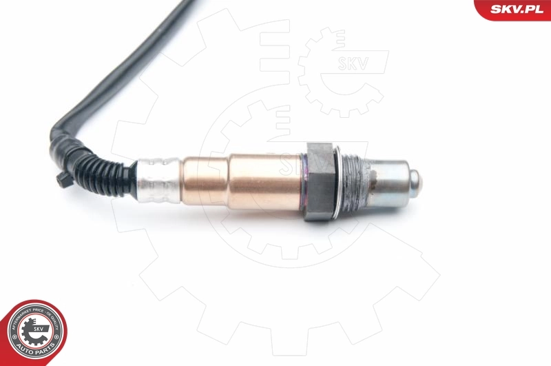 Oxygen Sensor 09SKV621