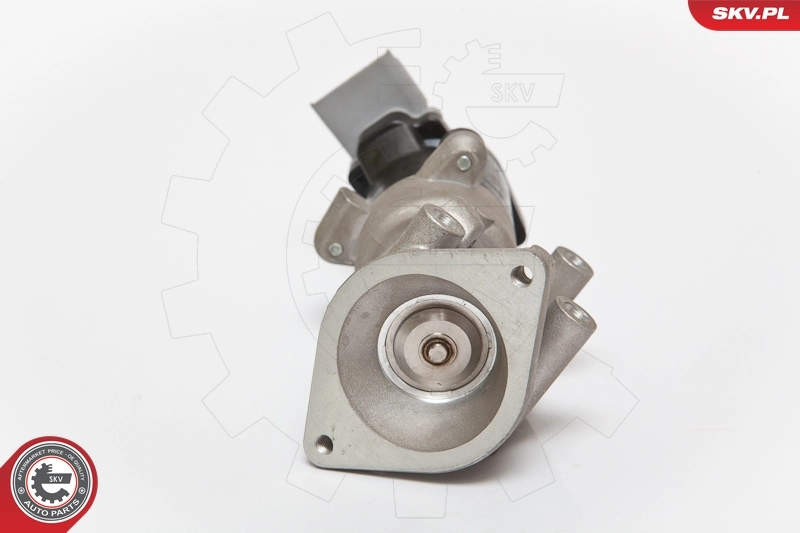 EGR Valve 14SKV072