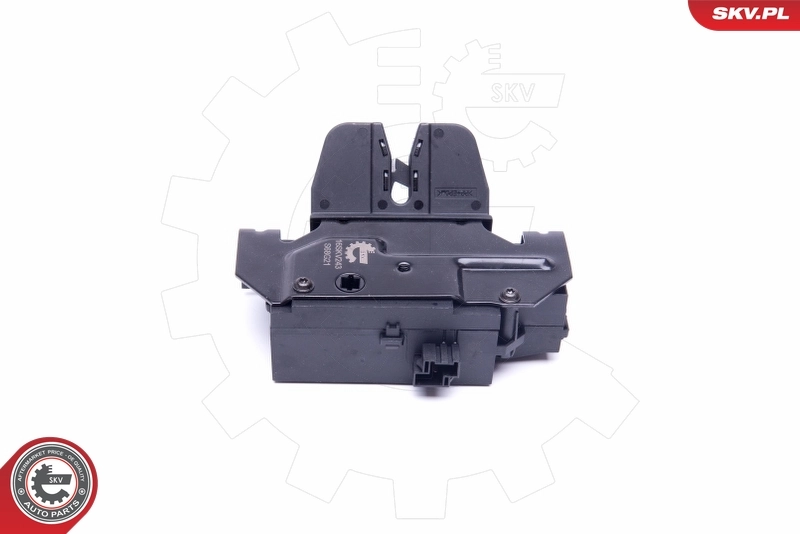 Tailgate Lock 16SKV243