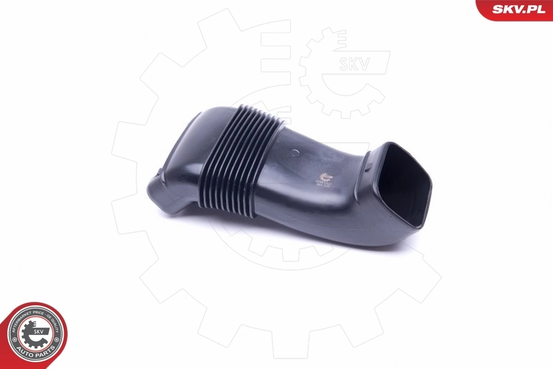 ESEN SKV 43SKV925 Air Channel