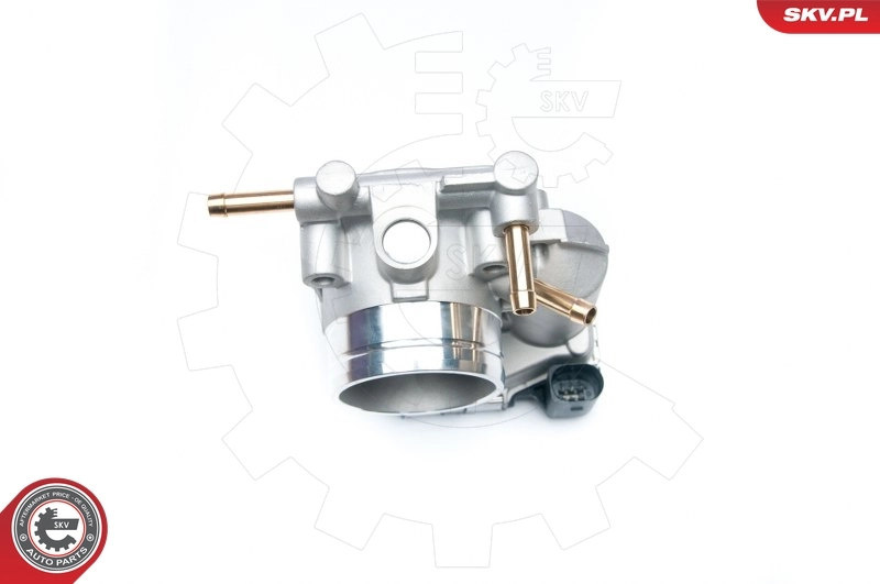 Throttle Body 12SKV045