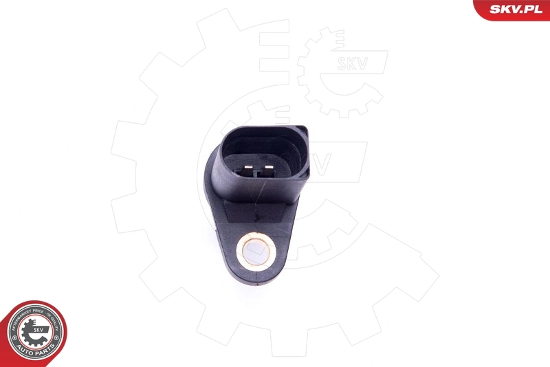 Impulsgeber, Kurbelwelle 17SKV505