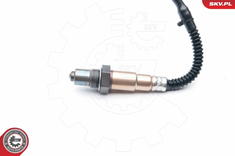 Oxygen Sensor 09SKV867