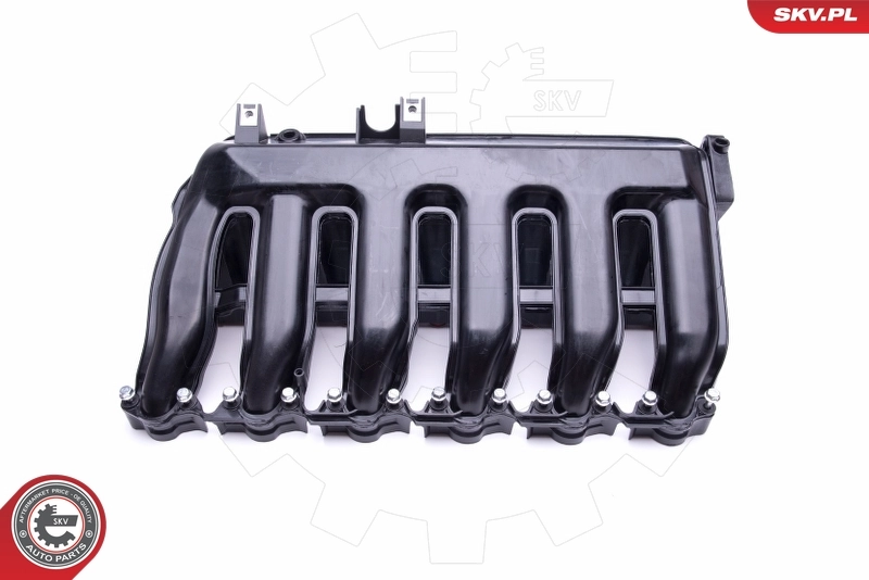 Intake Manifold Module 49SKV016