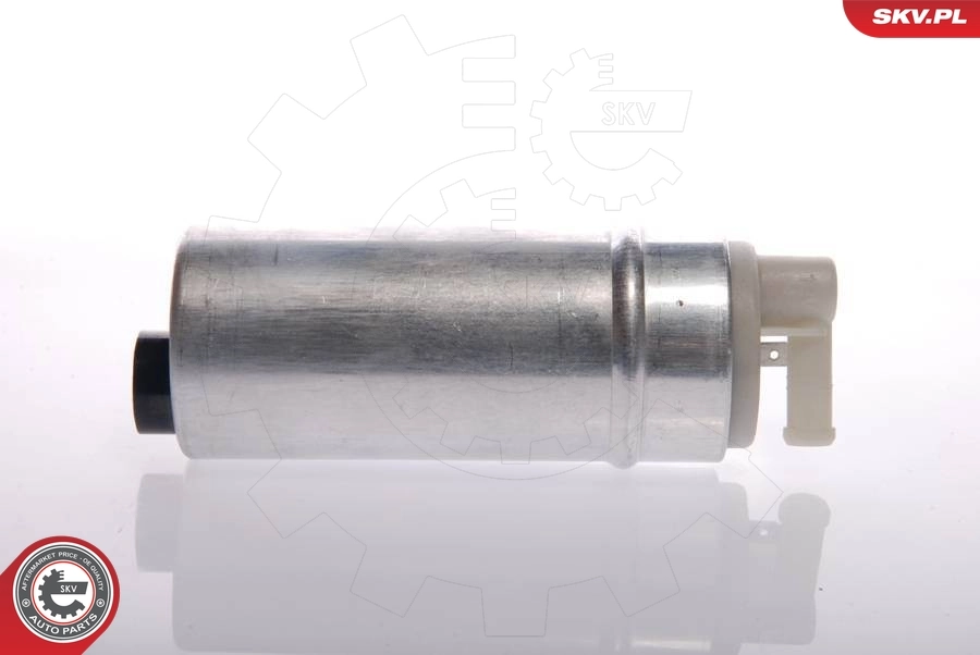 Fuel Pump 02SKV272