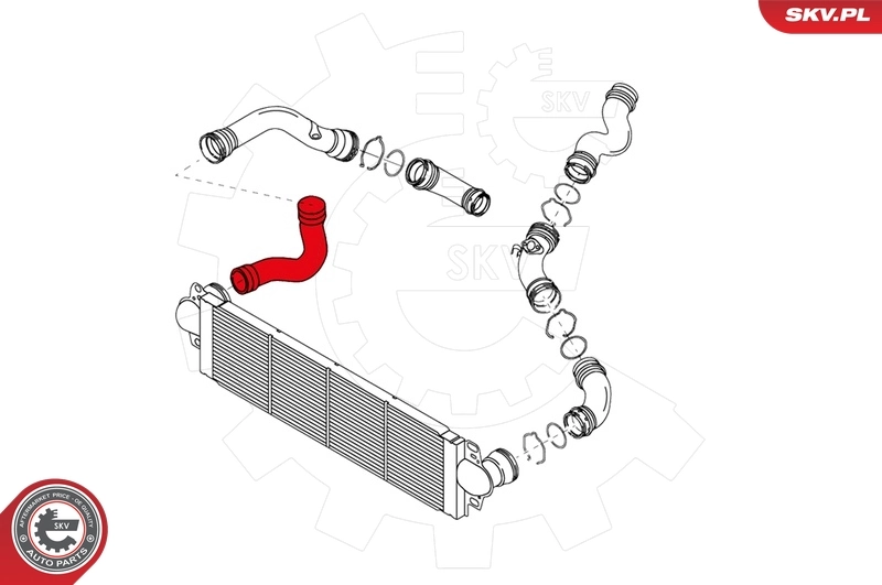 Charge Air Hose 24SKV018