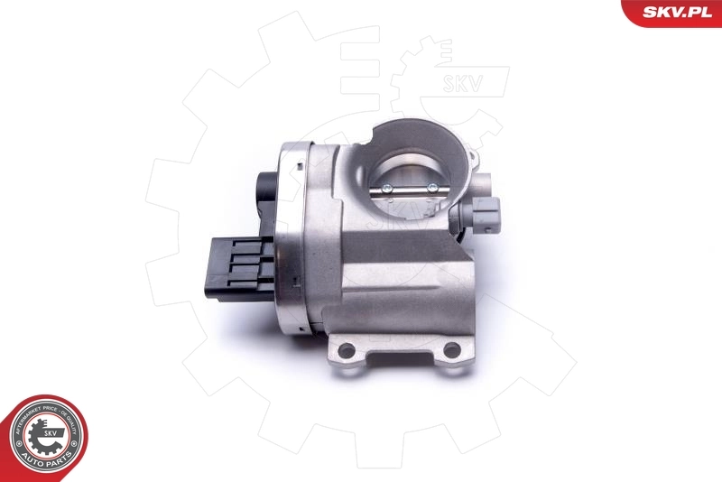 Throttle Body 12SKV102