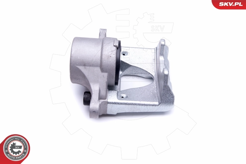 Brake Caliper 50SKV312