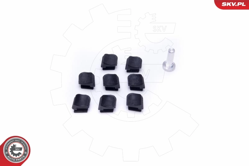 Repair Kit, intake manifold module 49SKV645