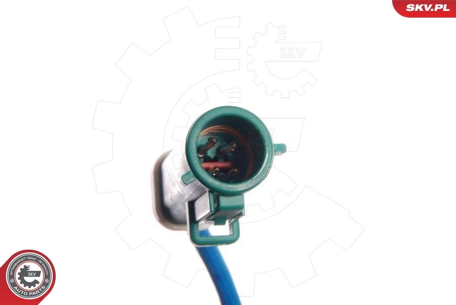 Oxygen Sensor 09SKV006