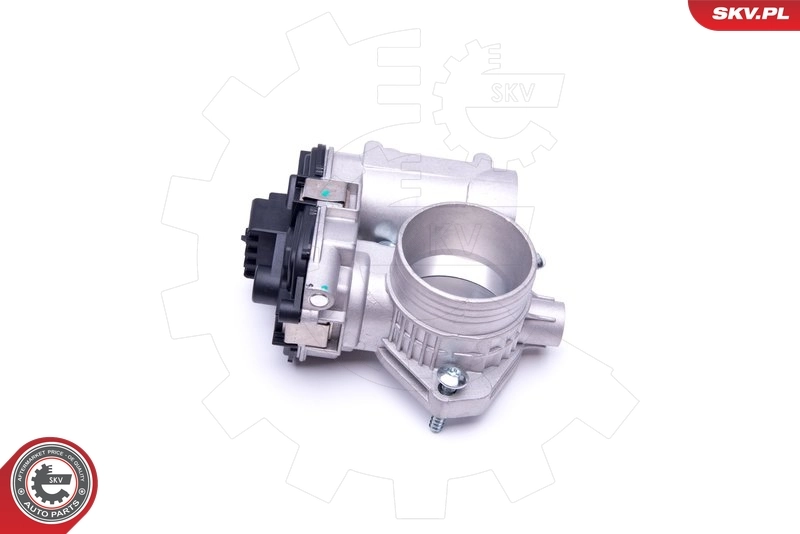Throttle Body 12SKV073