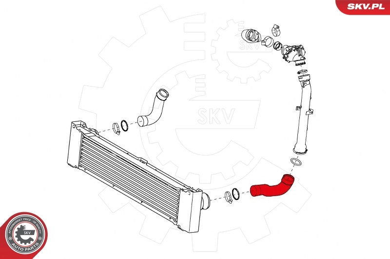 Charge Air Hose 24SKV602