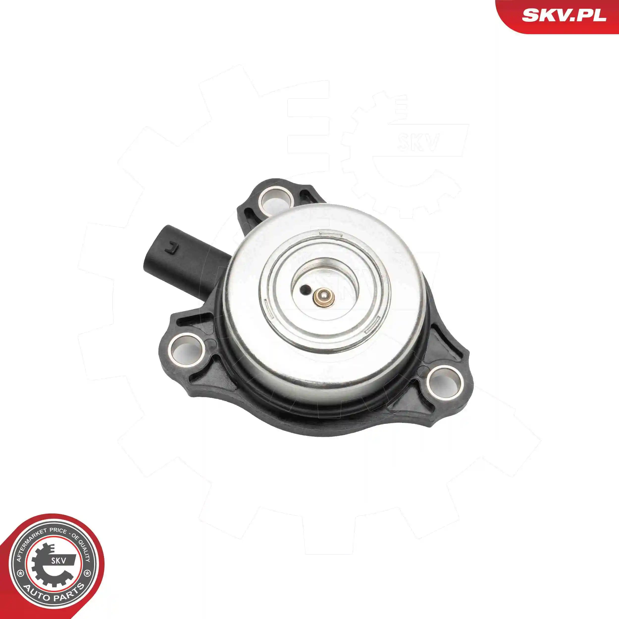 Control Valve, camshaft adjustment 39SKV907