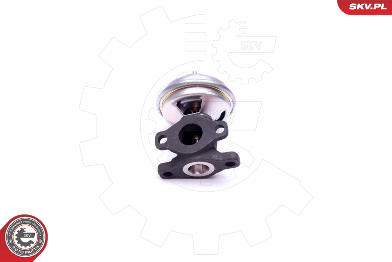 EGR Valve 14SKV204