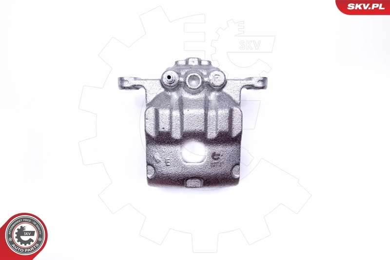 Brake Caliper 42SKV492