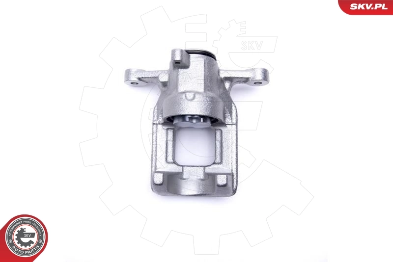 Brake Caliper 44SKV483