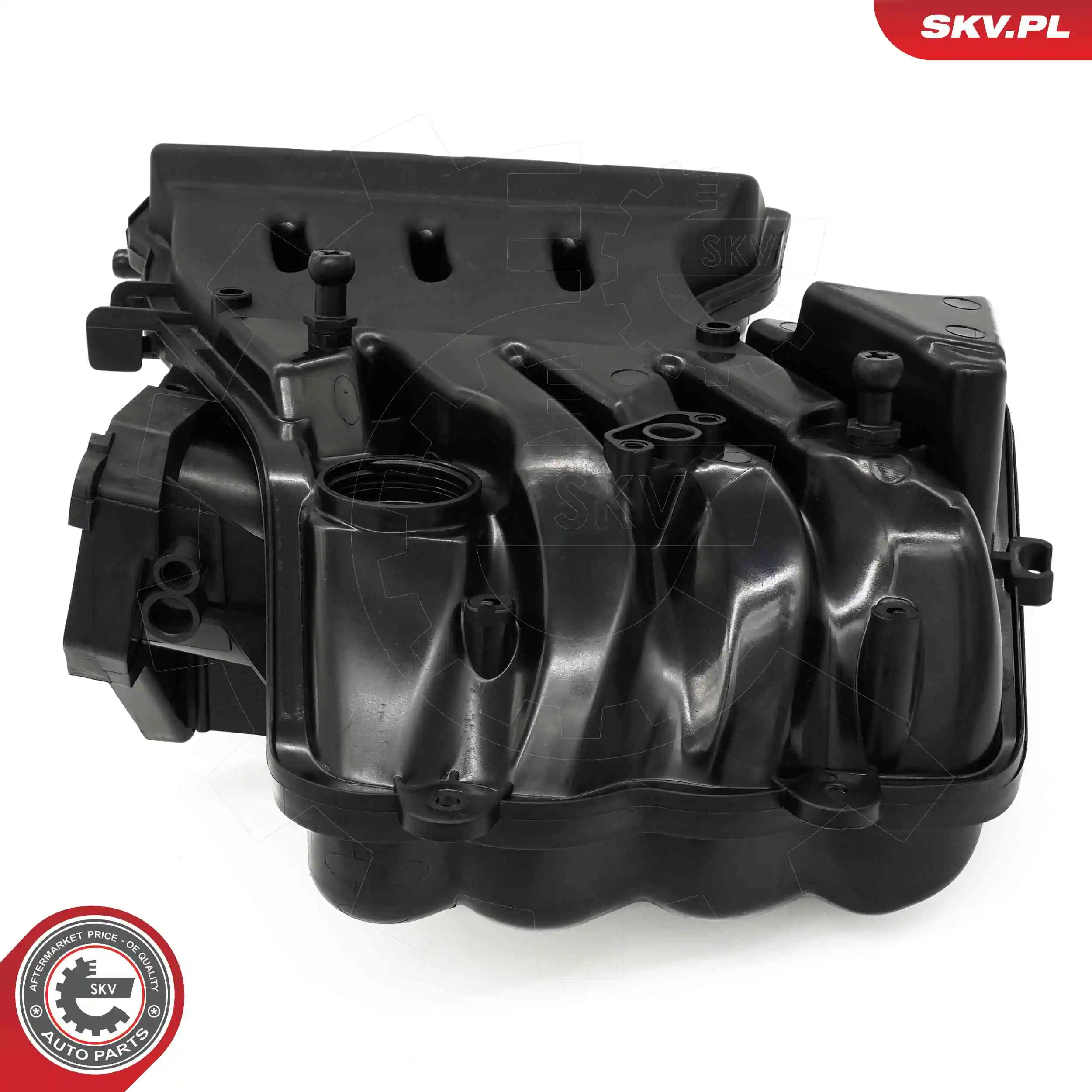 Intake Manifold Module 49SKV088