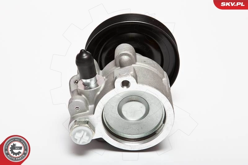 Hydraulic Pump, steering 10SKV068