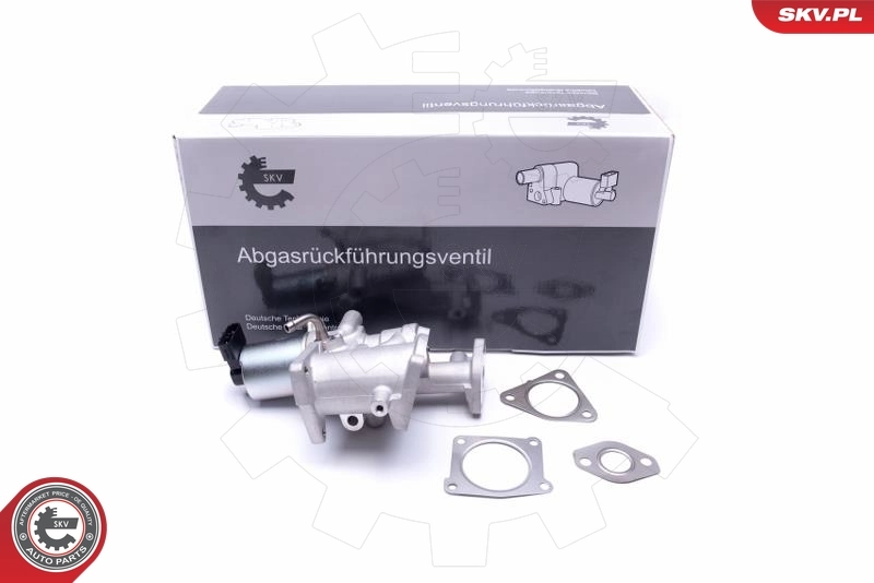 EGR Valve 14SKV167