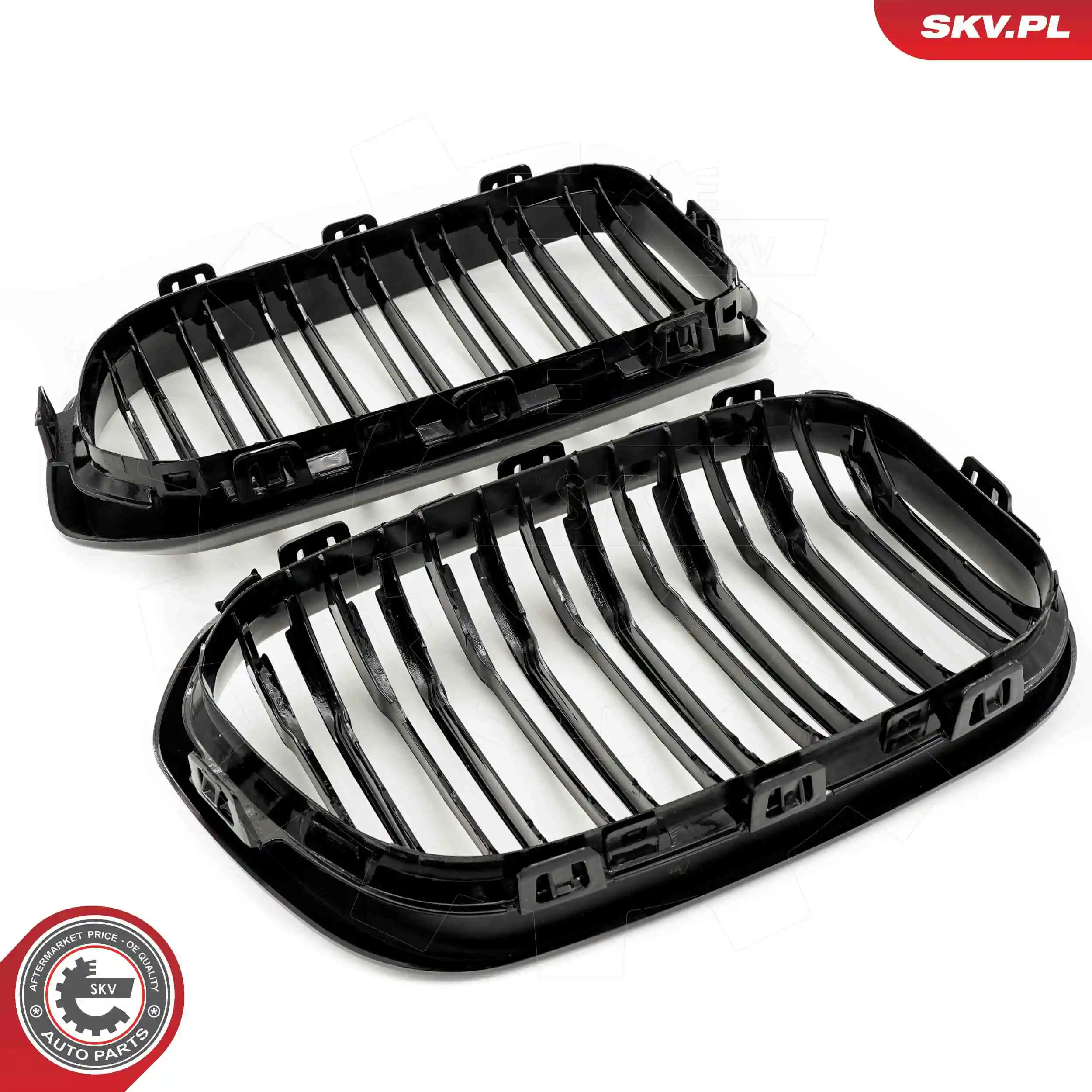 ESEN SKV 66SKV021 Radiator Grille