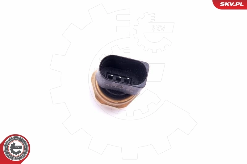 Sensor, fuel pressure 17SKV624