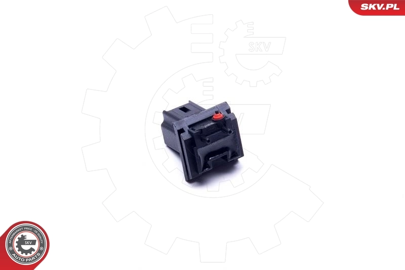 Switch, door lock 16SKV278