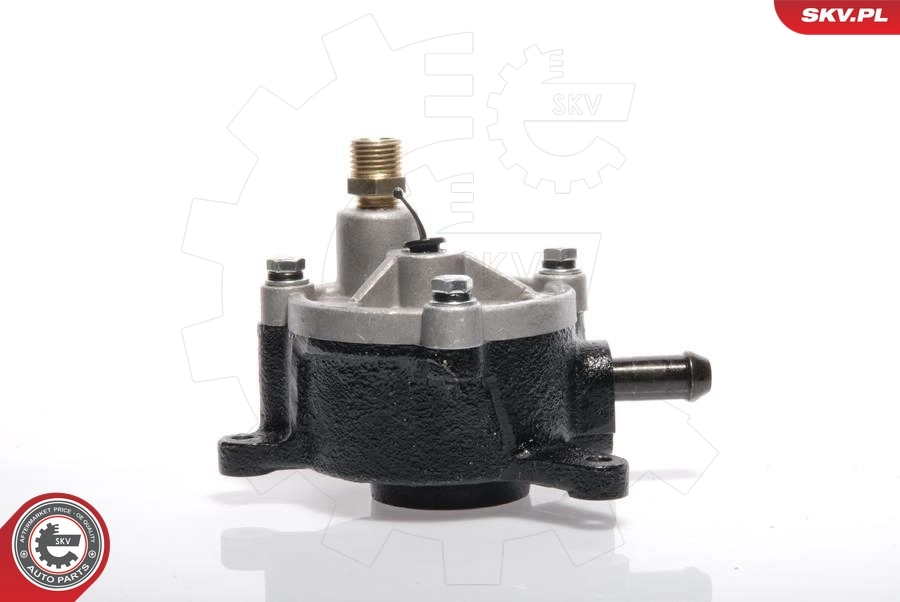 Vacuum Pump, braking system 18SKV010