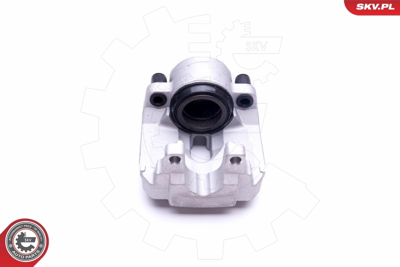 Brake Caliper 44SKV191