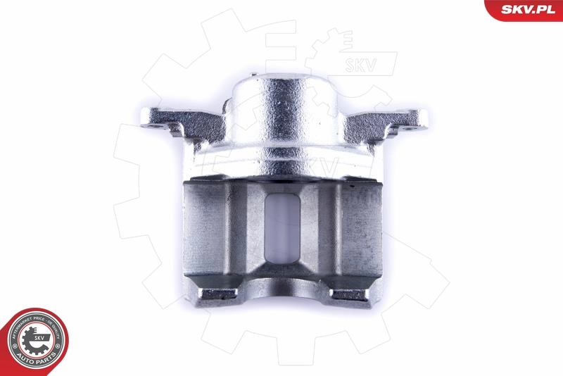 Brake Caliper 55SKV241