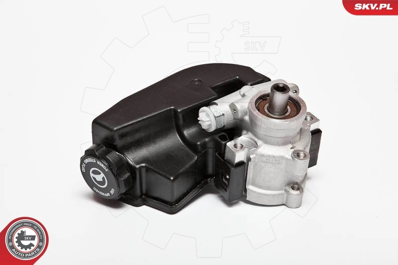 Hydraulic Pump, steering 10SKV090