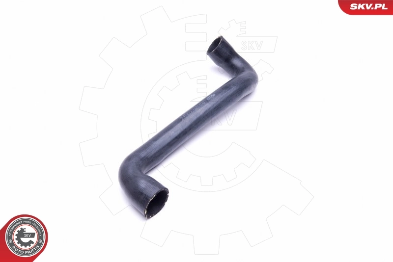 Radiator Hose 43SKV843