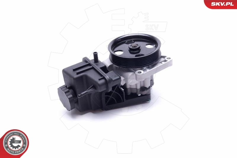 Hydraulic Pump, steering 10SKV307