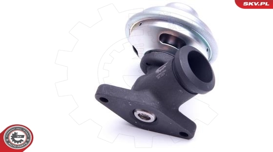 EGR Valve 14SKV205
