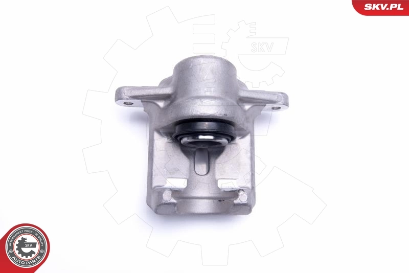 Brake Caliper 55SKV453