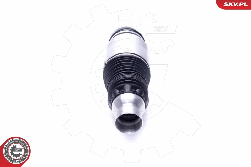 Air Suspension Strut 58SKV060