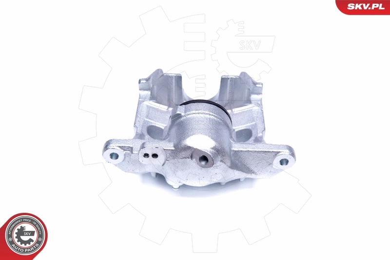 Brake Caliper 45SKV322