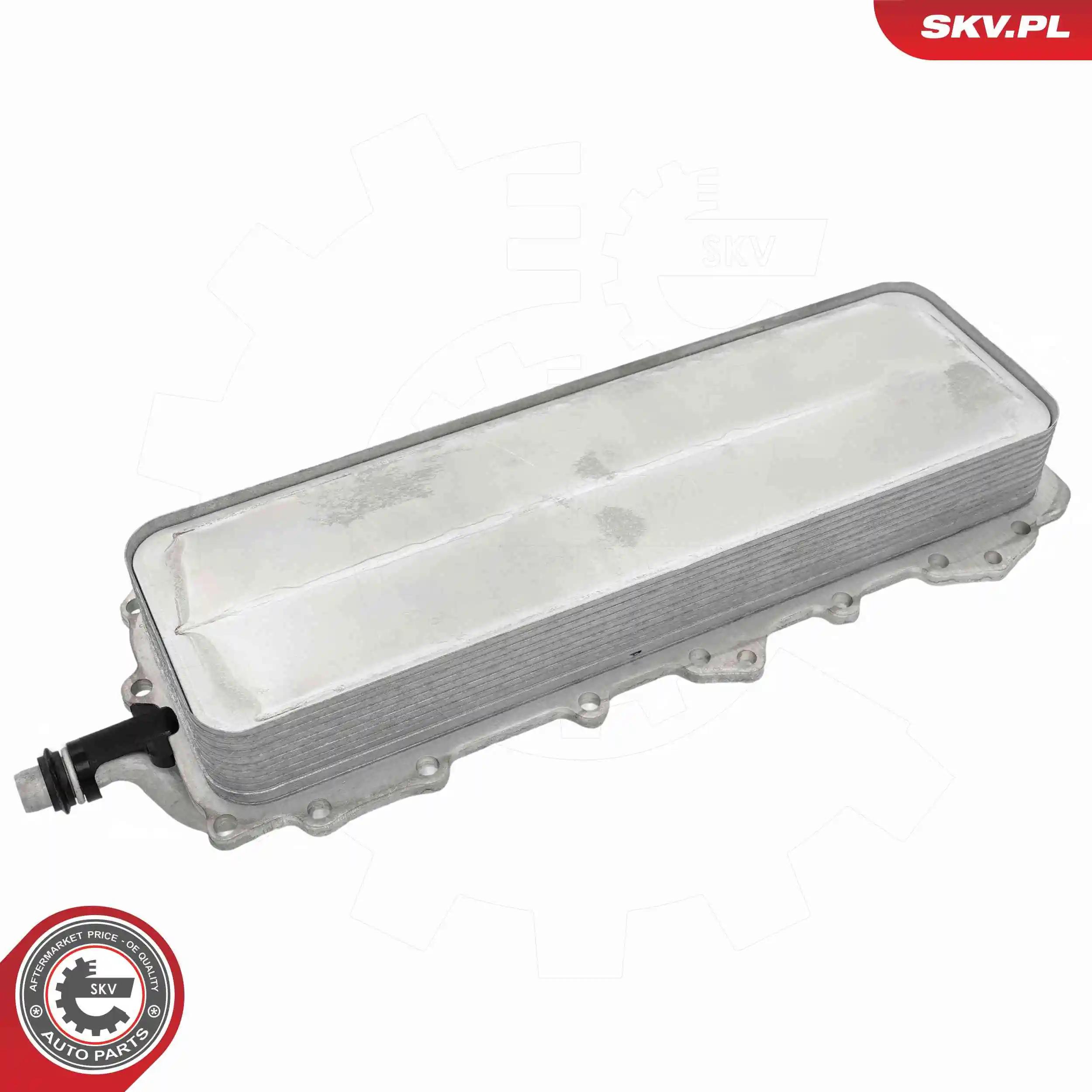 Oil Cooler, engine oil 31SKV362