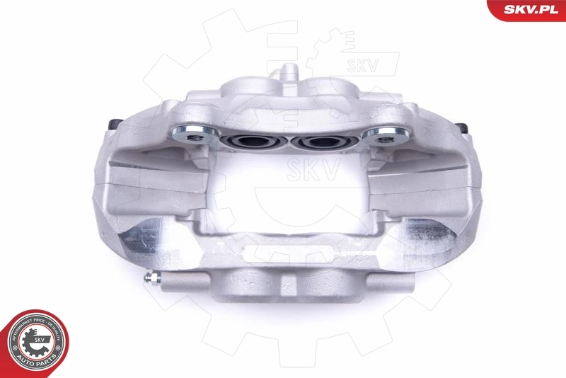 Brake Caliper 55SKV902