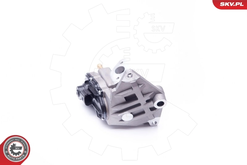 EGR Valve 14SKV087